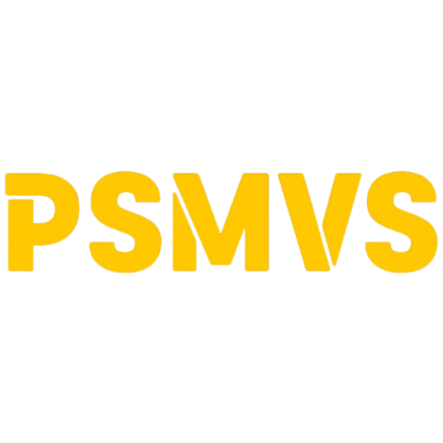 PSMVS